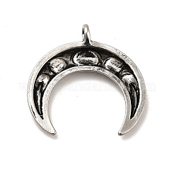 Tibetan Style Alloy Pendants&nbsp;PALLOY-E008-02AS