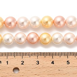Shell Pearl Beads Strands&nbsp;BSHE-XCP0001-36