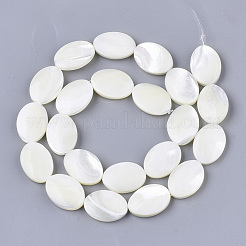 Natural Trochid Shell/Trochus Shell Beads Strands&nbsp;SHEL-T013-006B-03