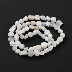 Natural Rainbow Moonstone Beads Strands&nbsp;G-P497-01C-63