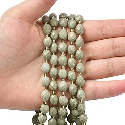 Natural Alashan Agate Beads Strands&nbsp;G-F809-A10-01