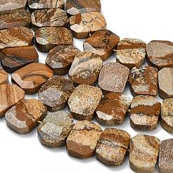 Natural Picture Jasper Beads Strands&nbsp;G-C285-A11-01