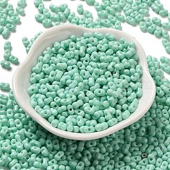 Baking Paint Glass Seed Beads&nbsp;SEED-K009-01A-05