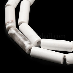 Synthetic Howlite Beads Strands&nbsp;G-K340-C06-01