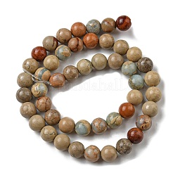 Natural Aqua Terra Jasper Strands&nbsp;G-S150-50-6mm