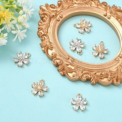 6Pcs 2 Styles Transparent Glass Pendants&nbsp;GLAA-YW0005-29