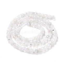 Natural Rainbow Moonstone Beads Strands&nbsp;G-K315-A11