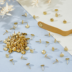 400Pcs Iron Nails&nbsp;IFIN-FH0001-98G