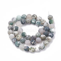Natural Tree Agate Beads Strands&nbsp;G-T106-039