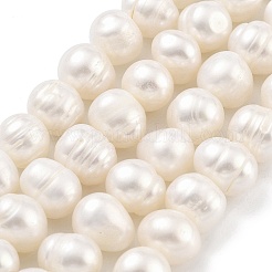 Natural Cultured Freshwater Pearl Beads Strands&nbsp;PEAR-C003-14E