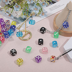 40Pcs Acrylic Pendants&nbsp;MACR-GL0001-05