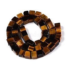 Natural Tiger Eye Beads Strands&nbsp;G-T139-8x8-29A