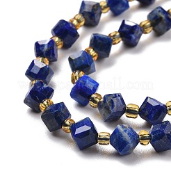 Natural Lapis Lazuli Beads Strands&nbsp;G-P463-25