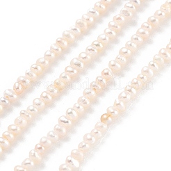 Natural Cultured Freshwater Pearl Beads Strands&nbsp;PEAR-C003-02B