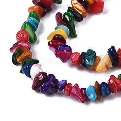 Natural Freshwater Shell Beads Strands&nbsp;SHEL-S278-070D