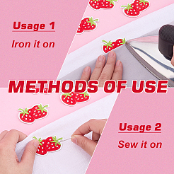 30Pcs Strawberry Computerized Embroidery Cloth Iron on/Sew on Patches&nbsp;PATC-FG0003-73B