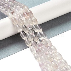 Natural Fluorite Beads Strands&nbsp;G-K362-I11-06