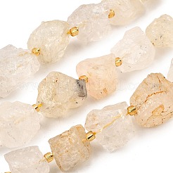 Raw Rough Natural Quartz Crystal Beads Strands&nbsp;G-Z087-B02