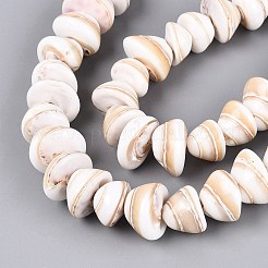 Natural Sea Shell Beads Strands&nbsp;SHEL-Q028-02