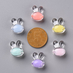 Transparent Acrylic Beads&nbsp;TACR-S152-05A