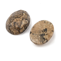 Natural Picture Jasper Cabochons&nbsp;G-Q186-01B