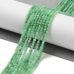 Natural Chrysoprase Beads Strands&nbsp;G-B088-C19-02