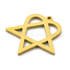 304 Stainless Steel Pendants&nbsp;LS-STAS-R228-03G