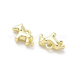 Alloy Pendants&nbsp;FIND-Z108-04LG