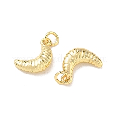 Brass Charms&nbsp;KK-E797-02B-G