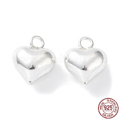 925 Sterling Silver Charms&nbsp;STER-H106-01A-S