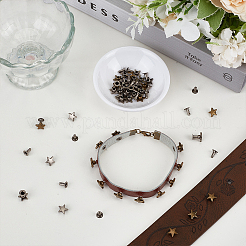 12 Bags 2 Colors Zinc Alloy Decorative Rivets&nbsp;FIND-FG0005-52A