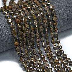 Natural Bronzite Beads Strands&nbsp;G-K389-B35-01