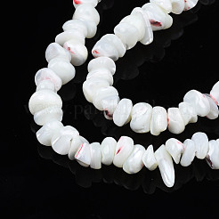Natural Freshwater Shell Beads Strands&nbsp;SHEL-N003-23