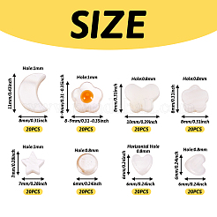 160Pcs 8 Styles Natural Freshwater Shell Beads Strands&nbsp;SHEL-TA0001-08
