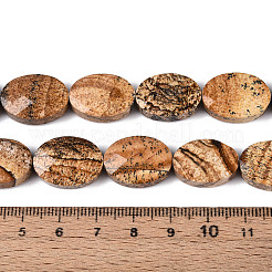Natural Picture Jasper Beads Strands&nbsp;G-S354-13x18-A06