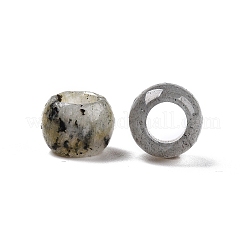 Natural Labradorite European Beads&nbsp;G-T092-10mm-30