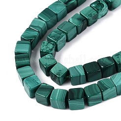 Natural Malachite Beads Strands&nbsp;G-Q608-24