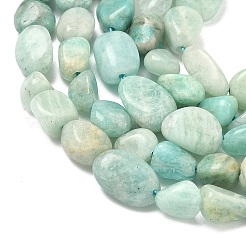 Natural Amazonite Beads Strands&nbsp;G-Z126-A01