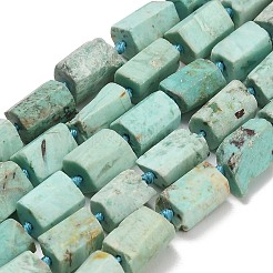 Natural Peruvian Turquoise(Jasper) Beads Strands&nbsp;G-NH0072-E04-02
