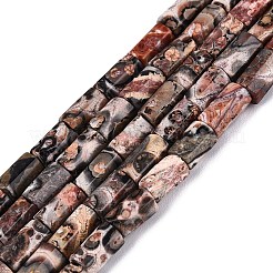 Natural Leopard Skin Jasper Beads Strands&nbsp;GG-N002-01A-12