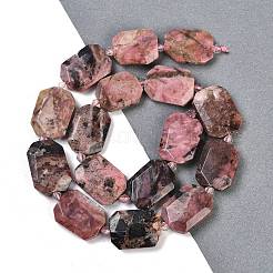Natural Rhodonite Beads Strands&nbsp;G-B125-P01-01