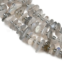 Natural Labradorite Beads Strands&nbsp;GG-CBA3A44-B07-01