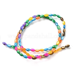 Natural Freshwater Shell Dyed Beads Strands&nbsp;SHEL-R129-06
