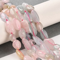 Natural Morganite Beads Strands&nbsp;G-Q1004-01A
