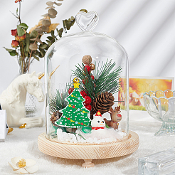 Heart Glass Dome Cover&nbsp;AJEW-WH0505-28B