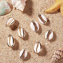 Electroplate Cowrie Shell Links&nbsp;SSHEL-SC0001-01G
