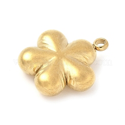 304 Stainless Steel Pendants&nbsp;STAS-R162-02G-01