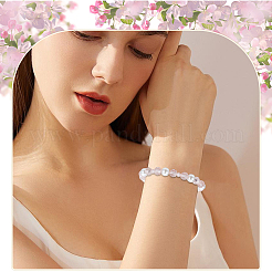 Transparent Glass Beads&nbsp;GLAA-SP0001-50A