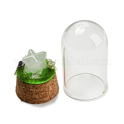 Natural Quartz Crystal Polygon Display Decoration with Glass Dome Cloche Cover&nbsp;DJEW-B009-05J