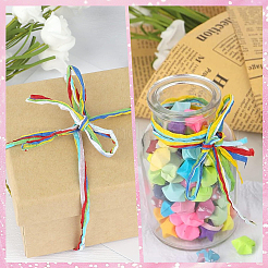 Segment Dyed Raffia Paper Cords for DIY Craft&nbsp;OCOR-WH20020-27H